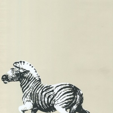 Zebra plains Wallpaper